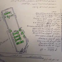 مرغداری پرورش تخمگذار پولت