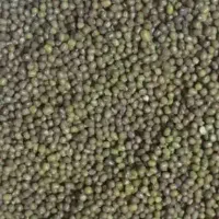 ماشک ارتشی تمیز کیلویی صدو شصت هزار تومان