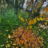 معاوضه-شهریار-فرارت-حصارساتی1050متر90متر-بنا-مفید