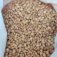 نخود شکسته و ریز مخصوص فلافل