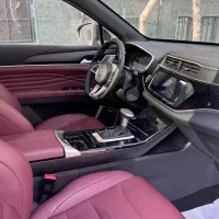 دیگنیتی پرستیژ مشکی داخل مارون