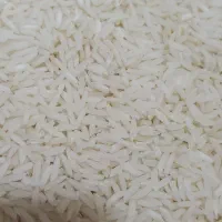 برنج هاشمی درجه یک معطر و خوش پخت|خوردنی و آشامیدنی|رشت, سعدی (تختی)|دیوار