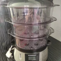 بخار پز