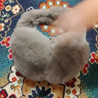 گوشگیر نو|کیف، کفش، کمربند|قم, شهر قائم|دیوار