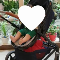 کالسکه و صندلی ماشین