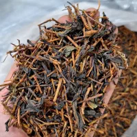 چای لاهیجان|خوردنی و آشامیدنی|لاهیجان, کوی خزر|دیوار