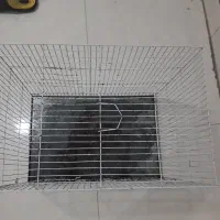 قفس درحدنو
