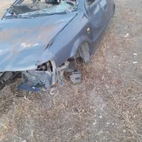 سمند تصادفی خاکستری