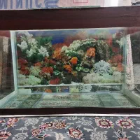آکواریوم۸۰سانتی۵میل فلوت