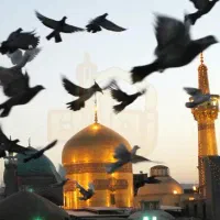 تور VIp