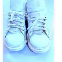 کفش|کیف، کفش، کمربند|نیشابور, خط کاشمر|دیوار