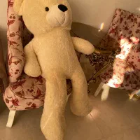 عروسک خرس شاخسین