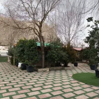 سرایدار متاهل اقا بدون فرزند