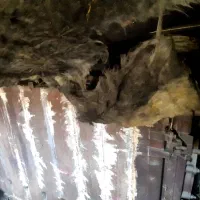 بزرگترین خریدار انواع دیگ چدنی و چیلر موتورخانه