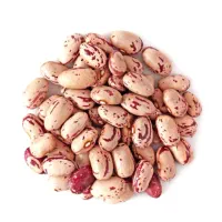 لوبیا چیتی