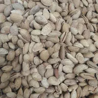 برنج عنبربو سال گذشته 250 کیلو|خوردنی و آشامیدنی|اردبیل, |دیوار