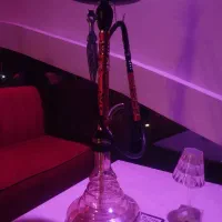 قلیان lion king