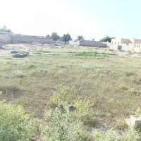 زمین رامشیر روستای رمیله علیا