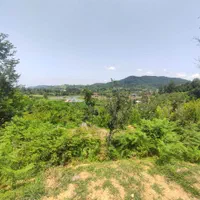 فروش فوری زمین ۷۴۵متری داخل طرح هادی، روستای چماچا