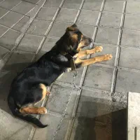 فروش فوری‌ ژرمن