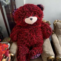 خرس ولنتاین