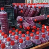فروش آب انار صددرصدطبیعی