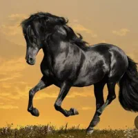 استخدام ۲ تا کارگر برای اصطبل اسب و دامداری