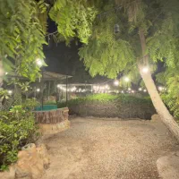 ریسه (ریسه نور)|ریسه و چراغ تزئینی|کیش, |دیوار