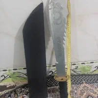 دراگون|کوهنوردی و کمپینگ|بمپور, |دیوار