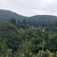 جاخونه  جلال آباد|فروش زمین و ملک کلنگی|نجف‌آباد, جلال آباد|دیوار