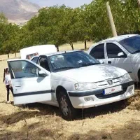 پارس سال دوگانه کارمندی مدل97