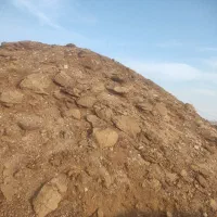 کود حیوانی|خدمات باغبانی و درختکاری|مشهد, امام رضا (ع)|دیوار