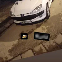 ۲۰۶اس،دی وی،۲۰ پارس