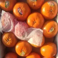 نارنگی درجه یک