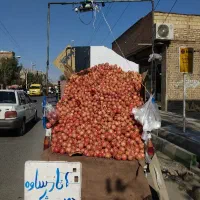 انار ساوه دونه مشکی خطی