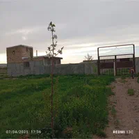 گاوداری متراژ چهار هزار متر