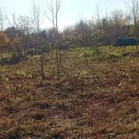 زمین|فروش زمین و ملک کلنگی|سنگر, |دیوار