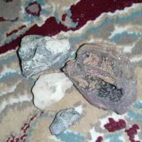 سنگ فسیل سدف و سنگ توخالی