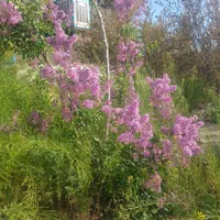 سویت۳۰۰۰ متری در شهرستان ورزنه|اجارهٔ کوتاه‌مدت آپارتمان و سوئیت|اصفهان, شهرستان|دیوار