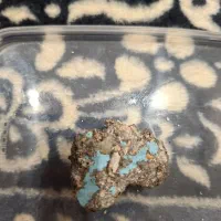 سنگ فیروزه ای وهرمز|کلکسیون اشیاء عتیقه|کیش, |دیوار