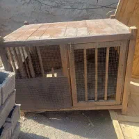خانه سگ