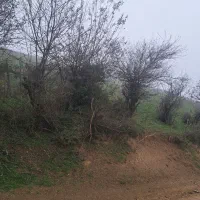 ۲۰۵ متر زمین در ییلاق زیبای لوییم با ویوی بی نظیر