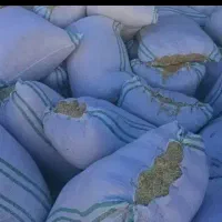کاه سبز سوفال تخم کدو ضایعات بوجاری د ام