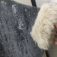 پالتو|لباس|مشهد, امیرآباد|دیوار