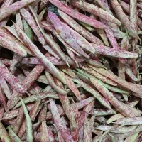 لوبیا تازه چین ودرشت