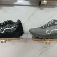 کفش باشگاه سایز 36