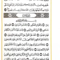قرآن کریم (پالتویی بزرگ) (خرمشاهی)|کتاب و مجله مذهبی|تهران, مسعودیه|دیوار