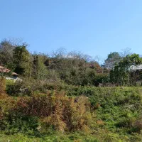 فروش زمین و خانه|فروش خانه و ویلا|آلاشت, |دیوار