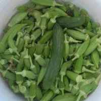 بامیه تازه از باغ به مشتری درجه یک