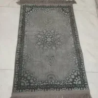 پادری طوسی فیلی|پادری|تهران, هفت حوض|دیوار